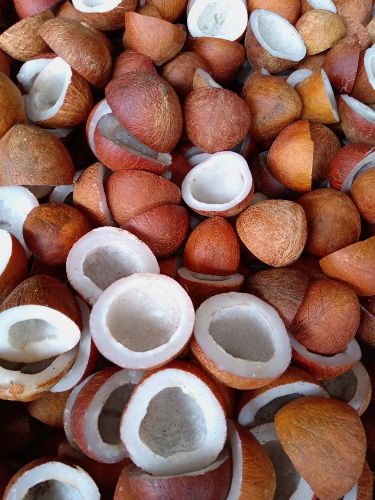 Half Cut Coconut Copra for Cooking, Grade Standard : Food Grade