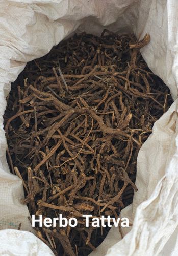 Dandelion Root, Grade : Medicinal, Packaging Type : PP/Jute Bag