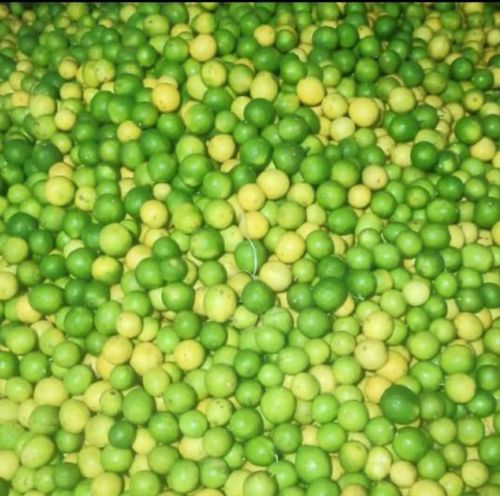 Lemon, Color : Yellow for Juice, Pickles, Drinks