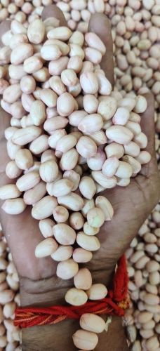 Raw Natural Tj Peanut, Packaging Type : Jute Bag, Plastic Packet