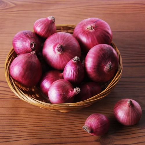 Fresh Red Onion, Cultivation Type : Organic for Cooking