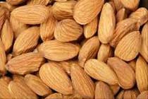 Organic Almond Kernels, Shelf Life : 1year