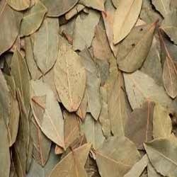 Bay Leaves