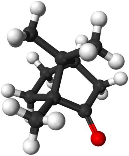 Camphor Powder