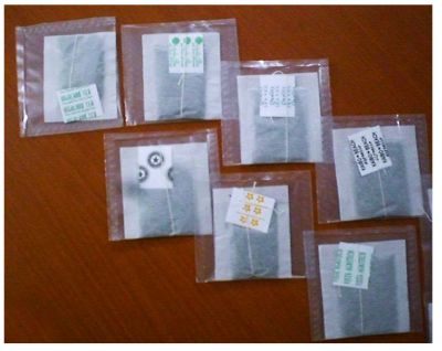 Transparent Outer Envelopes For Tea Bags