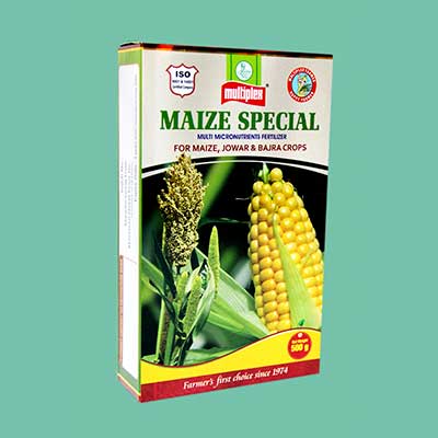 Maize Special