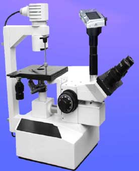 Focus Trinocular Tissue Culture Microscope (TCM-3)