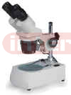 Stereo Microscopes