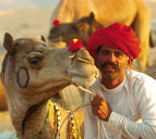 Jaipur Tour Service