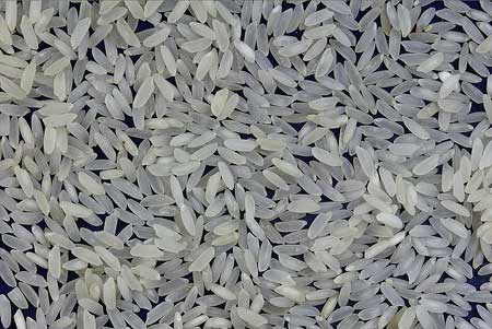 Non Basmati White Rice