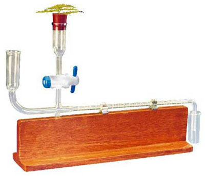 Ganong Potometer