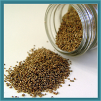 Celery Seeds
