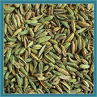 Fennel Seed