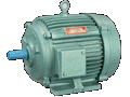 Three Phase Induction Motors