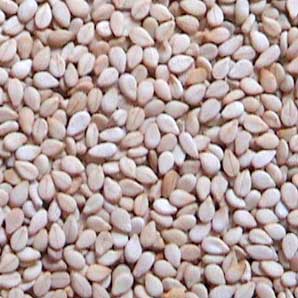 Natural Sesame Seeds