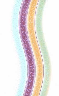 Wall Tiles Design No-1194