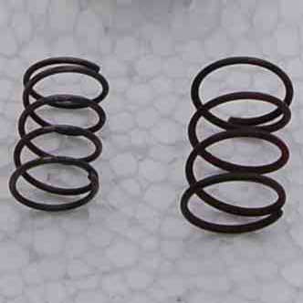 Valve Spring