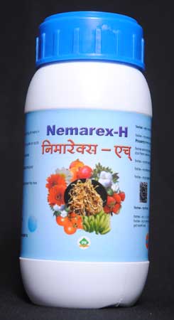 Nemarexh Nematodes Organic Pesticides, For Agriculture, Packaging Size : 20/35/50 Ltr HDPE Drums