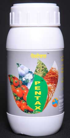 Pentex Bio-stimulant