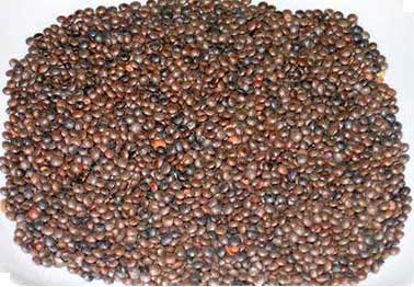 Black Masoor Dal