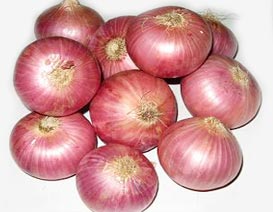 Onion