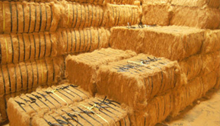 Coir Fiber, Color : Golden / Brown