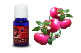 Gaultheria Oil