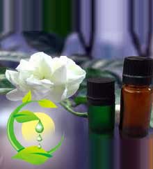 Katyani Jasmine Oil, Certification : FDA, MSDS