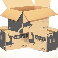 Product Packaging Carton