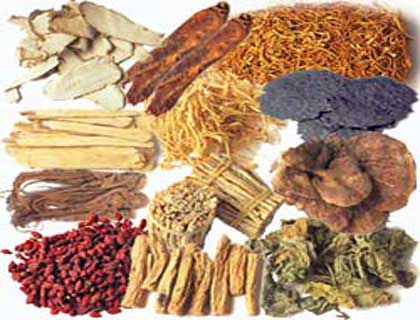 Siddha Medicine