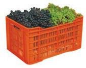 Plastic Crates-Grapes