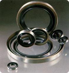 Oil Rubber Seals