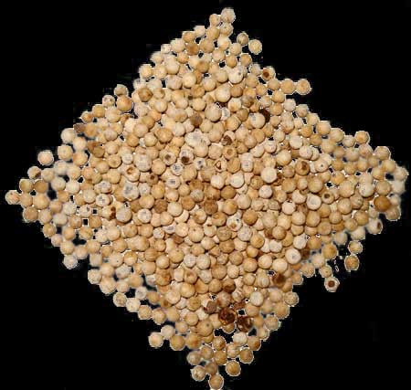 Organic Seeds White Pepper