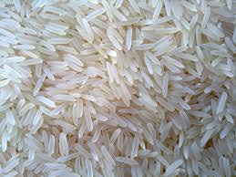 Hard Organic pusa basmati rice, Moisture : 13-14 %