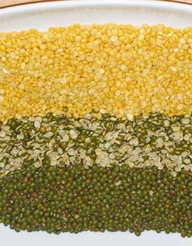 Moong dal, Packaging Type : Bag