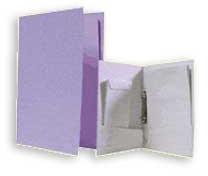 Plain 2D Ring File Folder