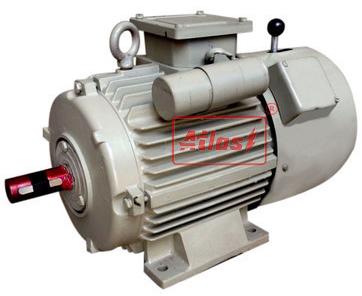 AC Brake Motor