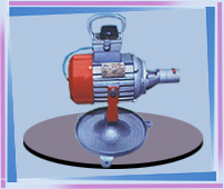 Flexible Shaft Grinder Machine