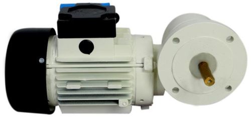 Single Phase Flange Mounted Worm Gear Motor