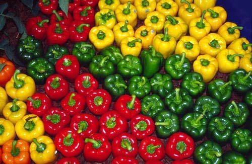 Fresh Capsicum, For Cooking