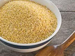 Barnyard Millet Seeds