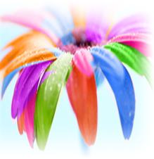 Graphic designing service