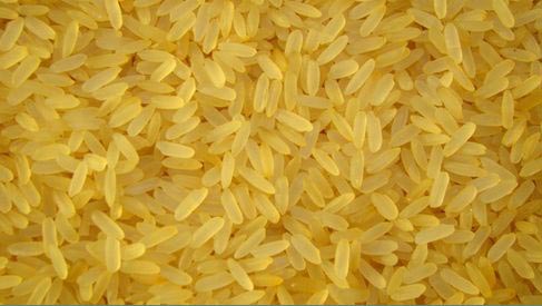 IR 64 Non Basmati Rice