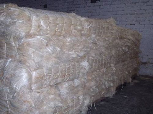 UG Grade Natural Sisal Fibre