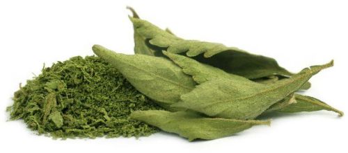 Stevia Leaves