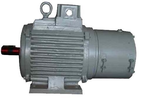 Industrial Brake Motors