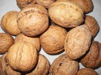 Shelled Walnuts