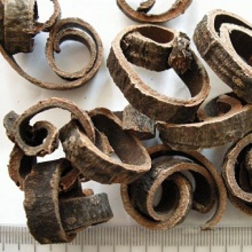 Magnolia Bark Extract, Packaging Type : white