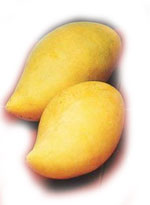 Totapuri mango pulp