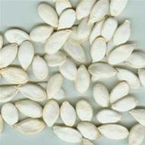 Watermelon Seed Kernels